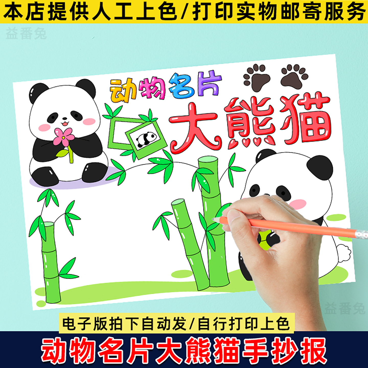 大熊猫介绍手抄报模板电子版小学生观察记录日记大熊猫动物名片