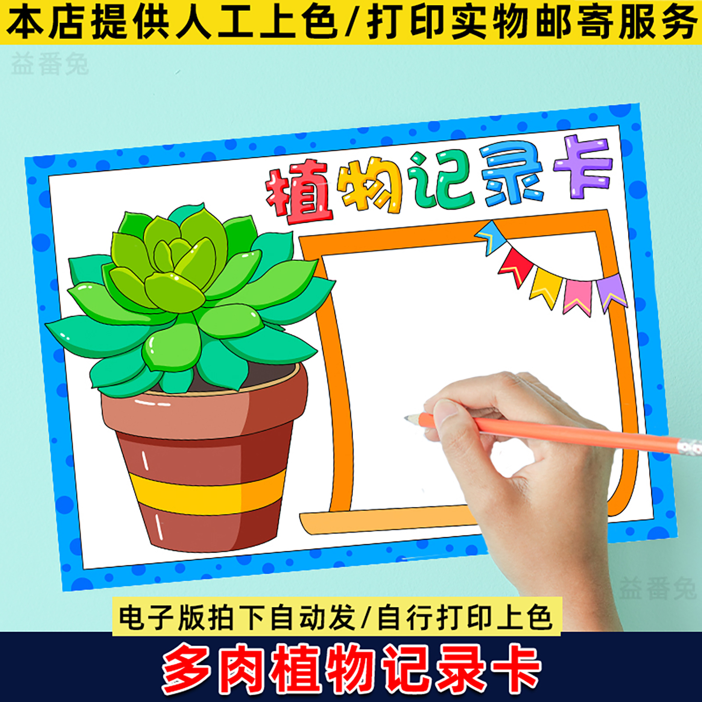 植物记录卡多肉手抄报模板小学生多肉观察记录卡植物名片电子小报