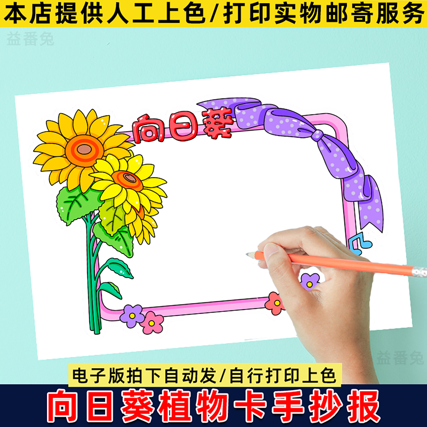 向日葵植物卡手抄报模板小学生DIY卡片自然植物观察日记电子小报