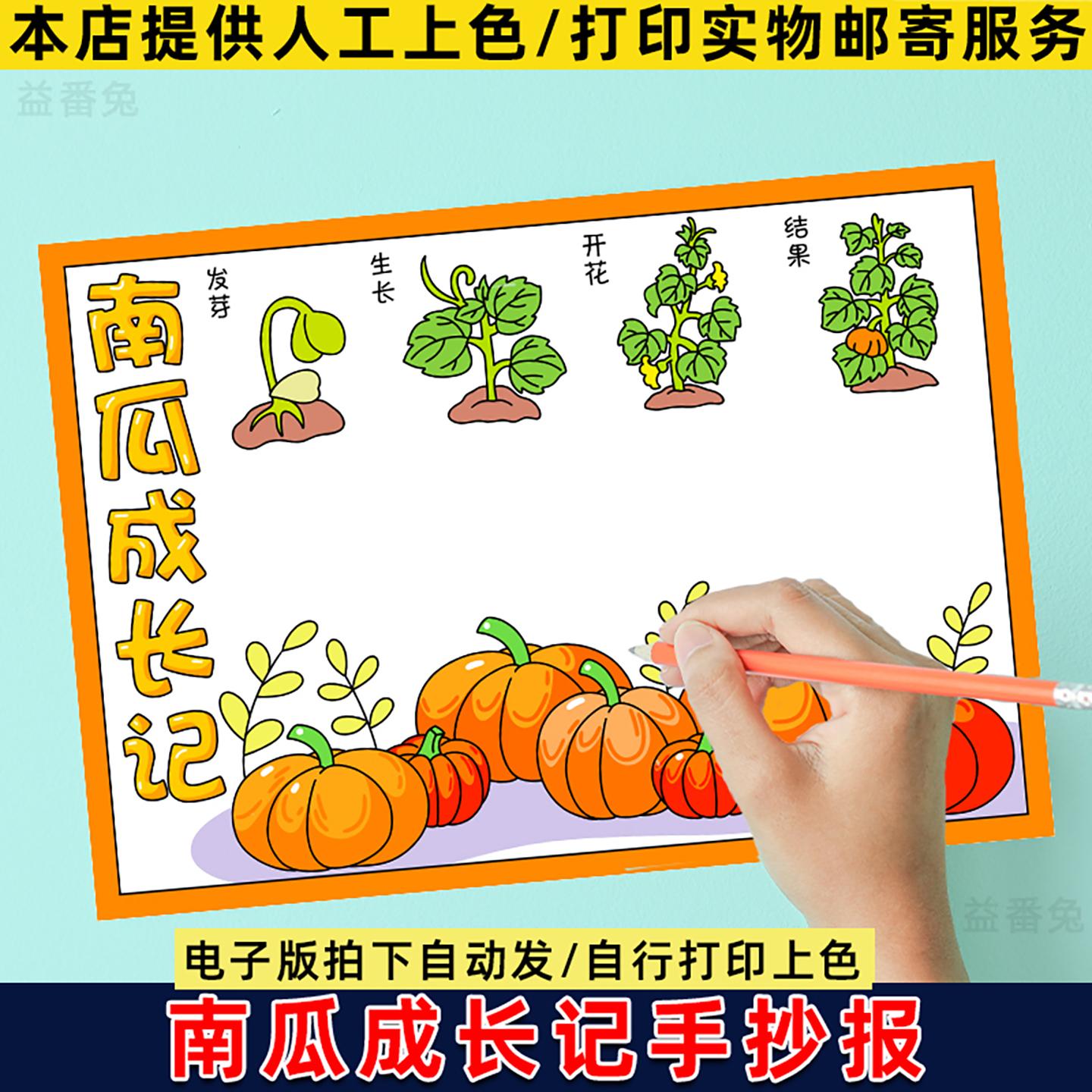 南瓜成长记手抄报模板小学生记录植物成长过程自然笔记观察小报