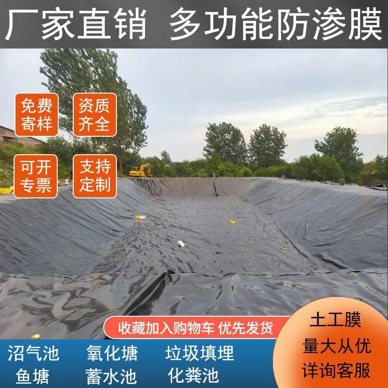 土工黑膜沼气蓄水调节池