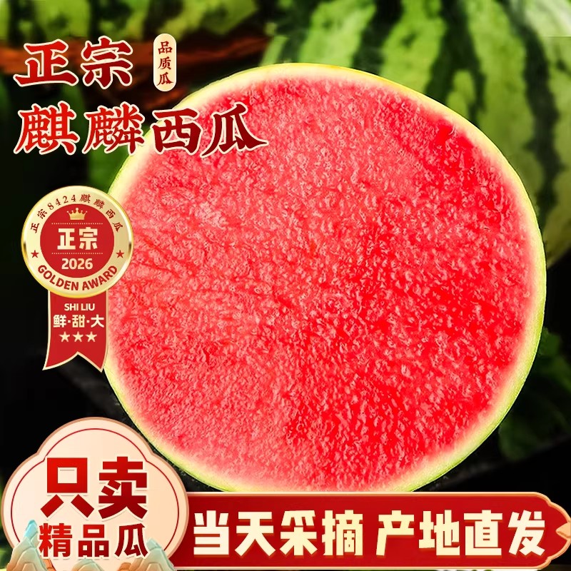 正宗云南麒麟西瓜8424薄皮脆甜