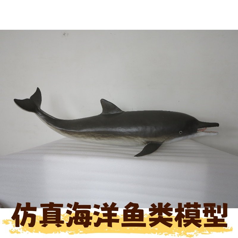 仿真海洋树脂鱼类标本3D模型科技馆博物馆科普展示教学大型定制,文具电教/文化用品/商务用品,教学标本/模型,淘宝优惠券,粉丝福利购,淘宝优惠卷