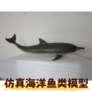 仿真海洋树脂鱼类标本3D模型科技馆博物馆科普展示教学大型定制