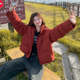 新款现货！2025冬季短款连帽羽绒服浙宝180A/货号1826/p255控358，女装羽绒服，浙宝180A