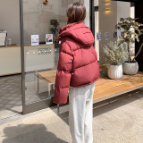 新款现货！小个子短款连帽羽绒服女浙宝180A/货号1829/p255控358，女装羽绒服，浙宝180A