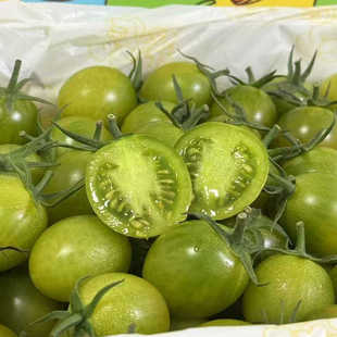 绿宝石番茄绿千禧小番茄新鲜水果整箱2斤绿圣女果【顺丰包邮】