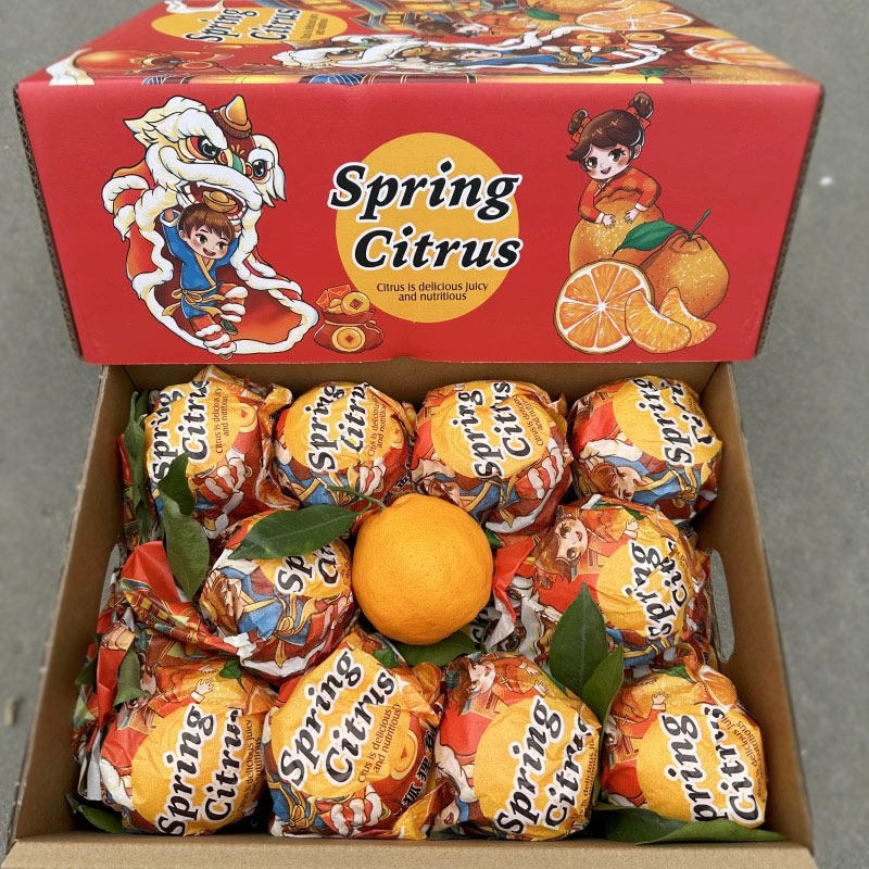 现货上嘉金狐狸春见耙耙柑爆浆手剥桔精选当季新鲜水果礼盒装,水产肉类/新鲜蔬果/熟食,桔子,淘宝优惠券,粉丝福利购,淘宝优惠卷