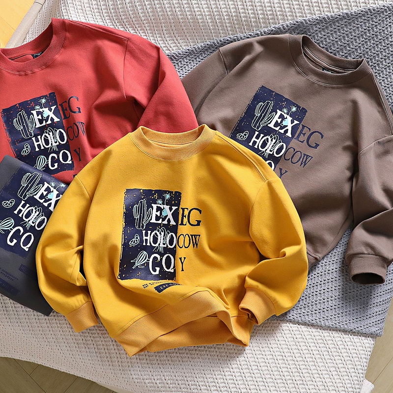 男童百搭圆领卫衣2025春秋季儿童洋气印花潮上衣中大童休闲套头衫