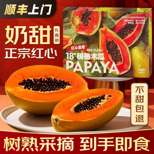 顺丰包邮现摘树上熟海南红心牛奶木瓜新鲜水果礼盒炖汤下奶冰糖心