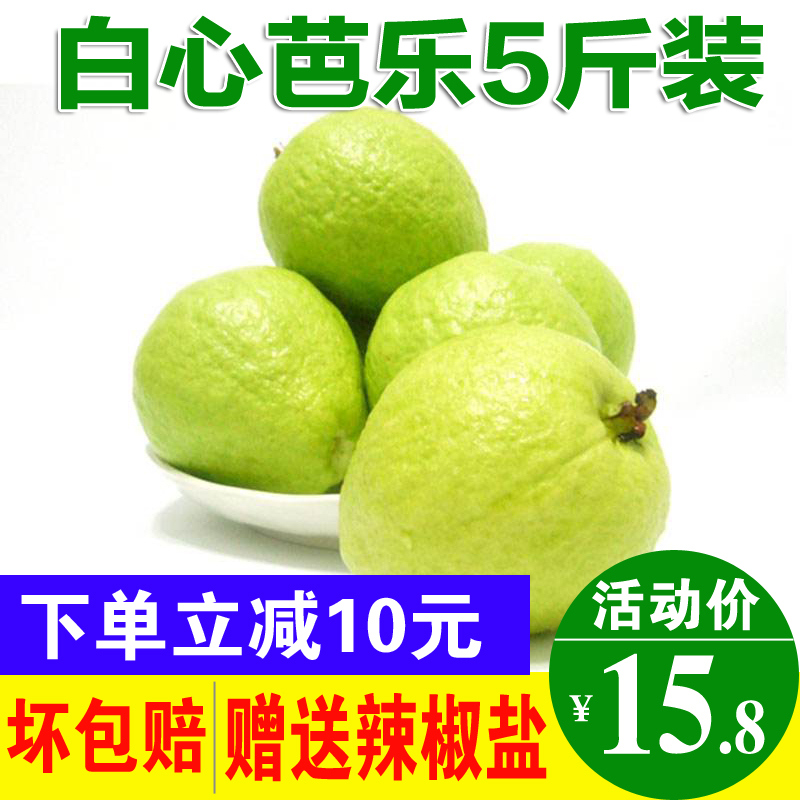 广西白心芭乐净重5斤现摘番石榴新鲜装热卖当季热带水果清脆香甜|msdalam kategori daging perikanan/Buah-buahan segar dan sayur-sayuran/dimasak, buah-buahan segar, jambu batu - dari Buy2taobao.com untuk memberikan perkhidmatan ejen Taobao profesional membeli