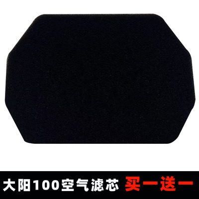 大阳100110DY100空气滤芯
