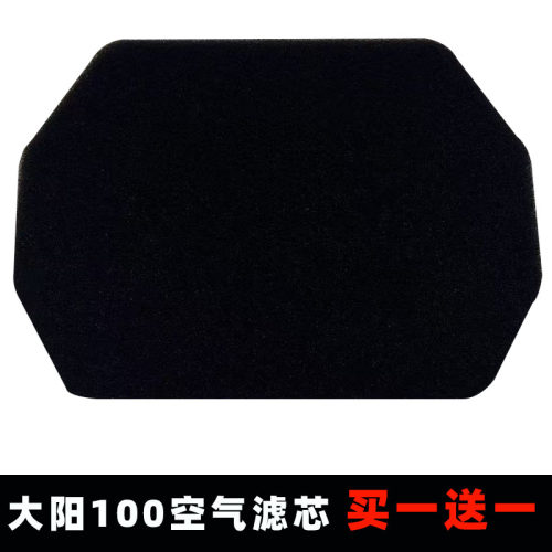 大阳100110DY100空气滤芯