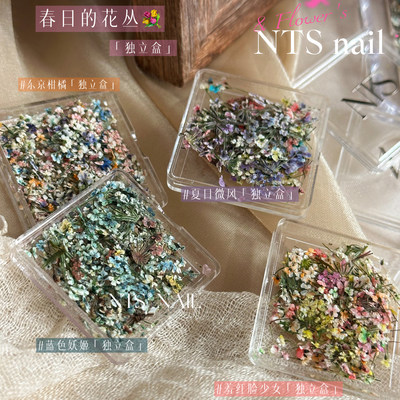 NTS.nail四色美甲干花