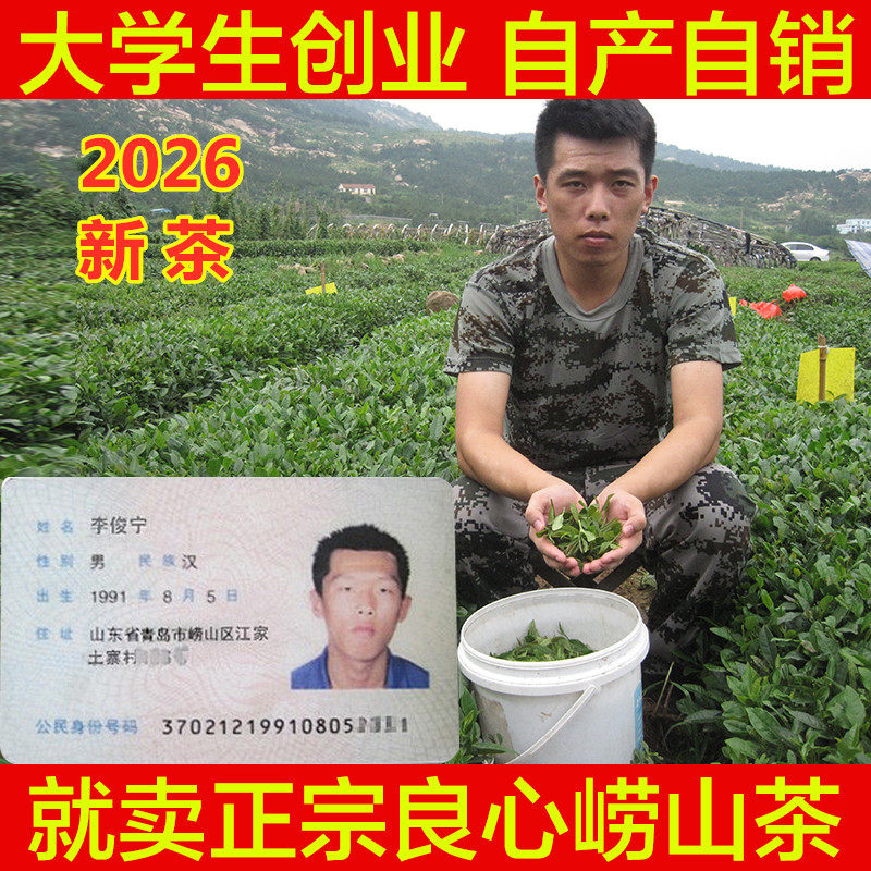 26新茶特级大田日照青岛崂山绿茶