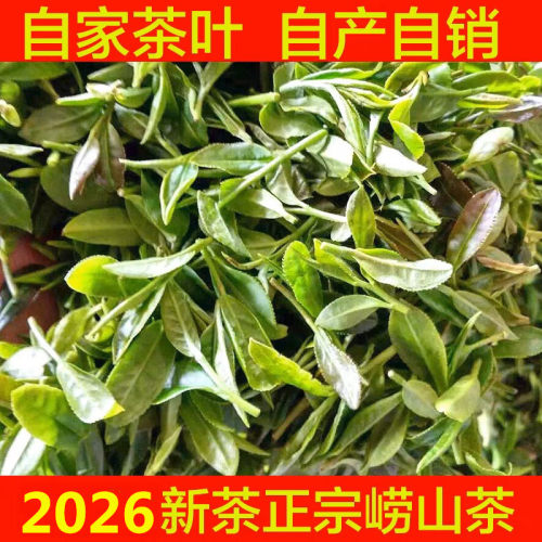 崂山绿茶2026年新茶春茶 500g雨前特级 炒青绿茶特产日照充足绿茶 - 封面