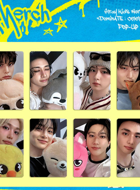 STRAY KIDS世巡dominATE celebrATE特典小卡 安可快闪自印照片ins