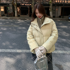 新品90假两件羽绒服-2D118-6154-P350-K488图片