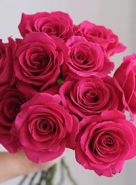 弗洛伊德玫瑰鲜花花束云南昆明基地直发卡布奇洛百合送人元旦节