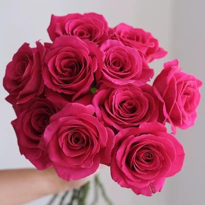 弗洛伊德玫瑰鲜花花束云南昆明基地直发卡布奇洛百合送人礼物水养