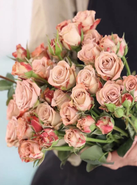 多头泡泡卡布奇诺巧克力小玫瑰鲜花束云南基地发鲜切花情人节礼物