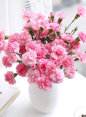 粉色多头康乃馨昆明斗南基地直发同城速递玫瑰百合水养花母亲节花