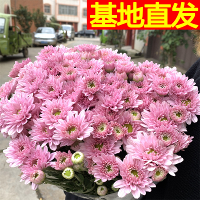 基地同城速递百合花小雏菊包邮