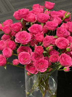 苏菲宝贝多头泡泡小玫瑰云南昆明基地直发同城鲜花花束元旦节礼物