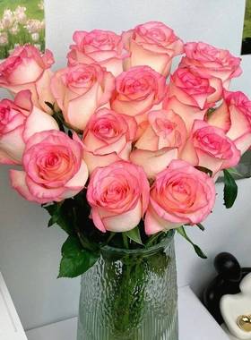 艾莎玫瑰鲜花云南昆明基地直发同城速递多头泡泡情人节礼物家庭花