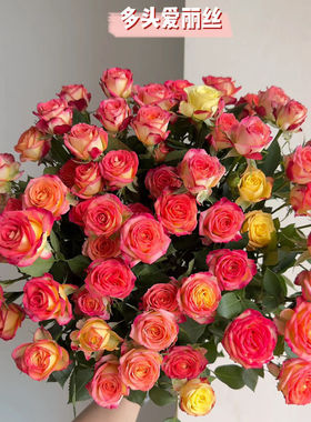 爱丽丝多头玫瑰鲜花鲜花云南基地直发鲜花水养家用速递包邮元旦节