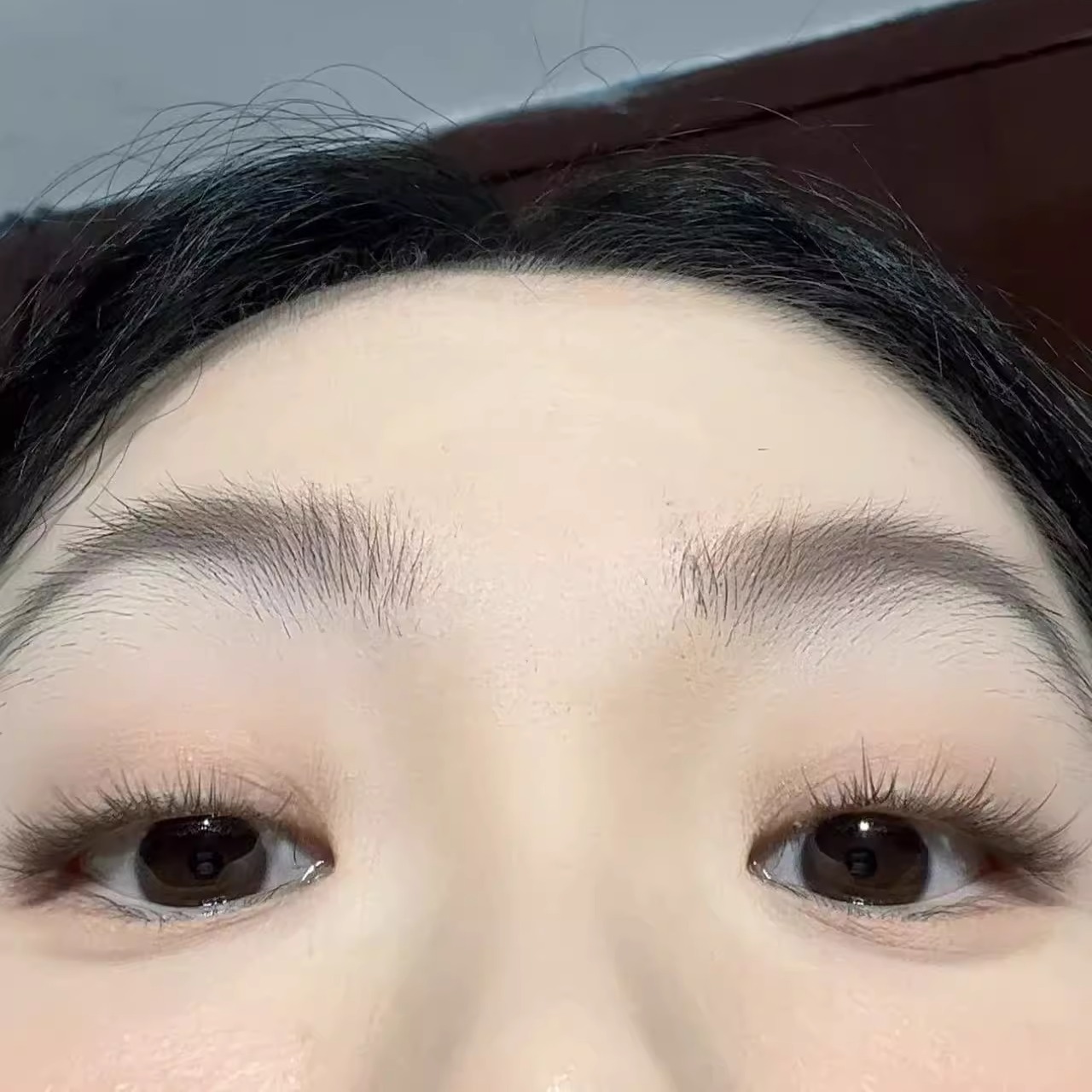 【免胶无梗】新手自然款素颜免胶水自粘假睫毛分段2秒即贴绒绒棕