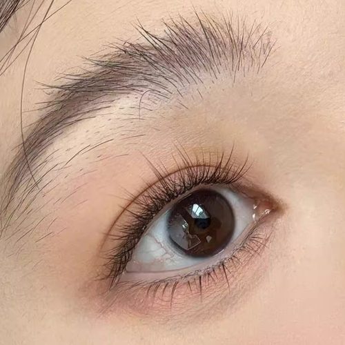 【超自然款】新手黑棕色8-11mm素颜婴儿弯假睫毛爆款无梗分段免胶