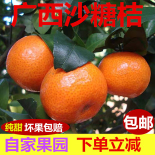 广西正宗沙糖桔新鲜水果时令当季砂糖橘子自家果园现摘整箱
