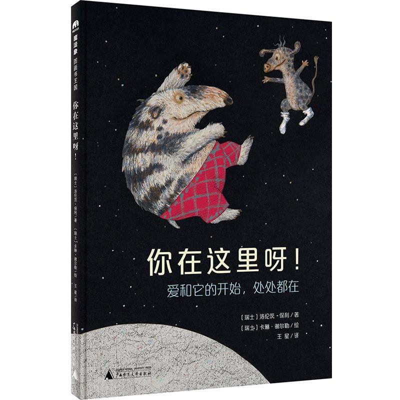 正版包邮  （精装绘本）魔法象·图画书王国：你在这里呀 9787549579310 广西师范大学出版社 [瑞士]洛伦茨·保利著 [瑞士]卡琳·