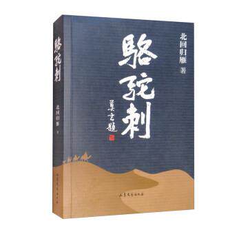 正版包邮  骆驼刺 9787532965427 北回归雁 著 山东文艺出版社