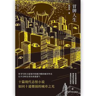 正版包邮  冒牌人生 9787541151934 陈思安 四川文艺出版社