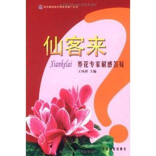 包邮 9787503861826 王凤祥 正版 仙客来：养花专家解惑答疑 社 主编 中国林业出版