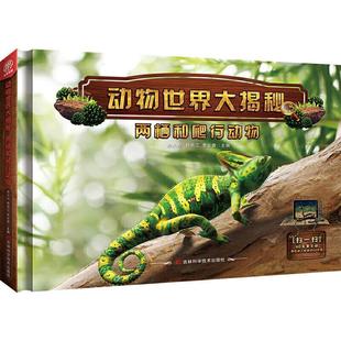 正版包邮 动物世界大揭秘:两栖和爬行动物 9787557852658 吉林科学技术出版社 余大为,韩雨江,李宏蕾 著