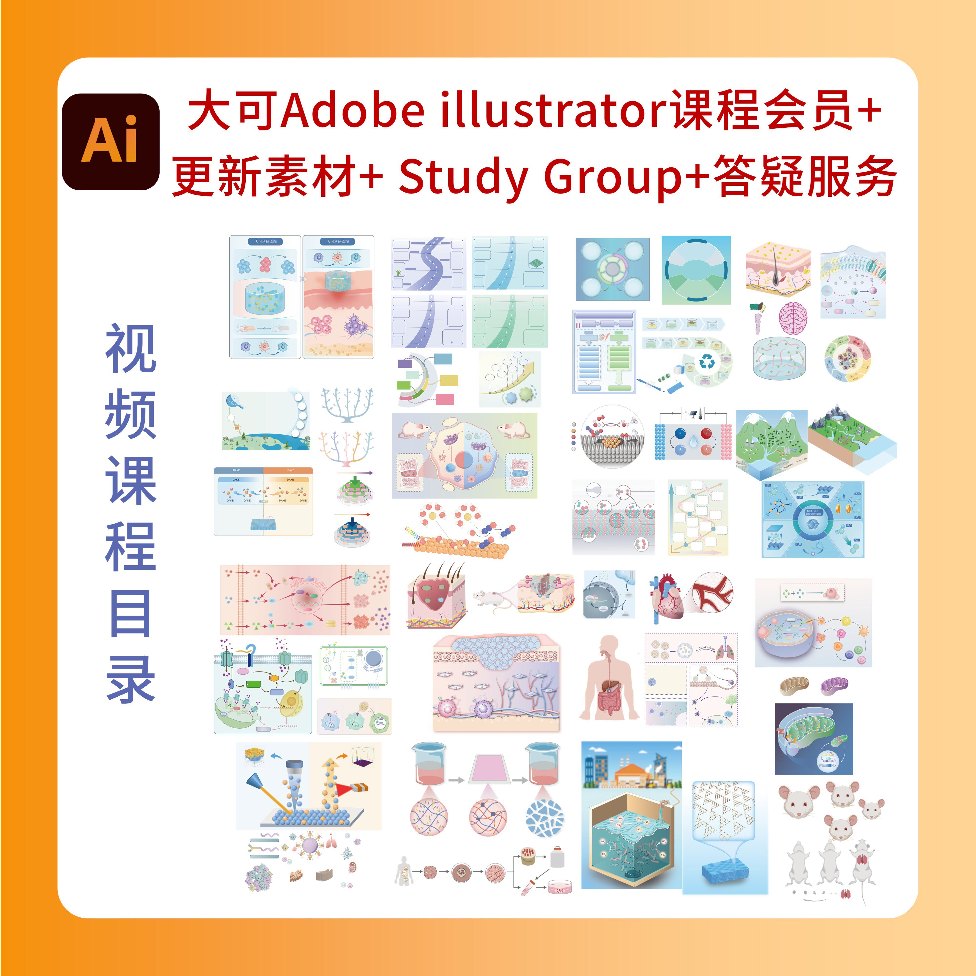 大可Adobe illustrator 科研绘图会员