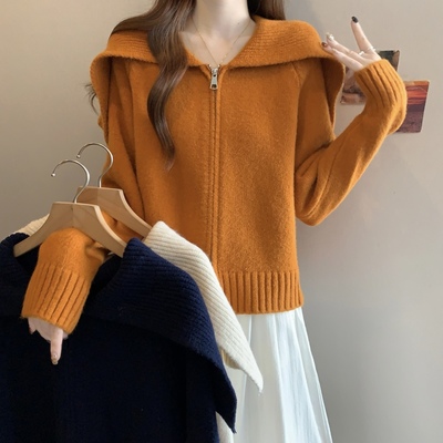 实拍双拉链翻领正肩针织开衫毛衣外套女学院风秋冬大码胖mm短上衣