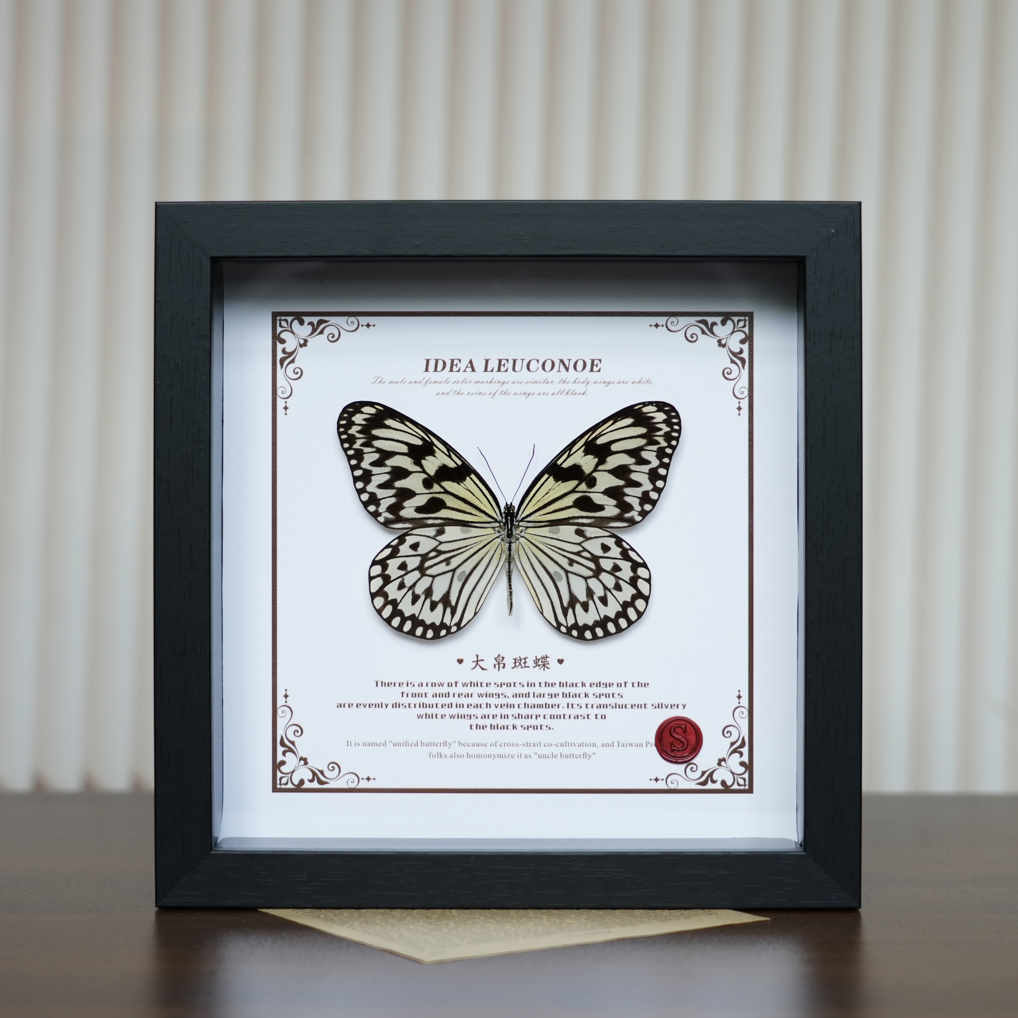 大帛斑蝶真蝴蝶标本挂墙复古高档装饰画收藏送朋友礼物生日礼物,家居饰品,标本类装饰画,淘宝优惠券,粉丝福利购,淘宝优惠卷