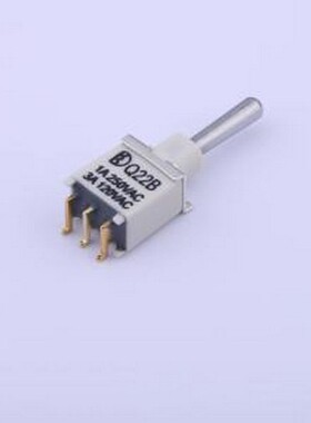 2BS3T1A1MZQES 钮子开关 2B系列 钮子开关 摇头开关 SMD