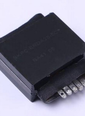 SKPC-ERDA25-5C(135) 功率电感 25uH ±5% 9.6A -