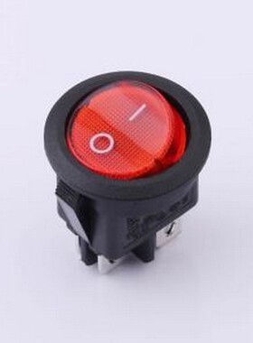 RS601D2-2010011R1B 船型开关 双刀圆形带灯船型开关 插件