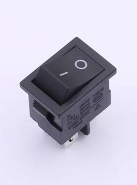 RS601D1-2010011BB-3A 船型开关 双刀船型开关 插件