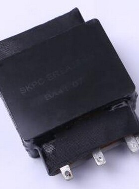 SKPC-EREA25-9B(135) 功率电感 25uH ±5% 32A -