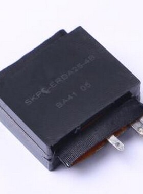 SKPC-ERDA25-4B(135) 功率电感 25uH ±5% 9.6A -