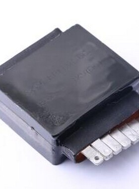 SKPC-ERFD20-6C(135) 功率电感 20uH ±5% 48A -