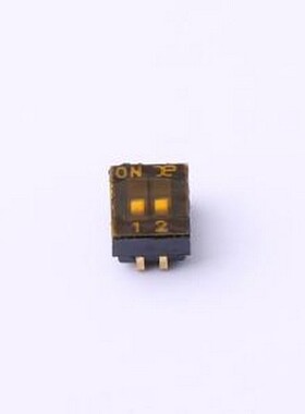 DSHP02TJGER 拨码开关 DSHP02TJGER -