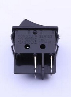 R210-C5N-BB 船型开关 32*25不带灯开关 插件